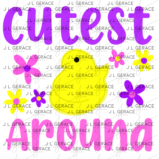 Cutest Chick Around Easter PNG